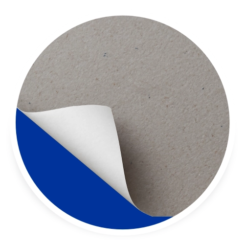 مقوای پشت طوسی